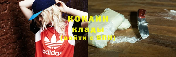стафф Каменногорск