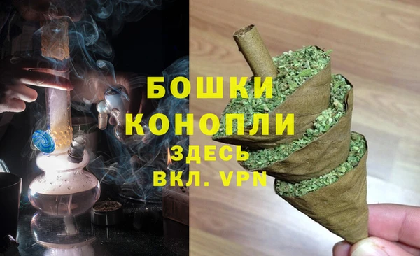 крисы Тобольск