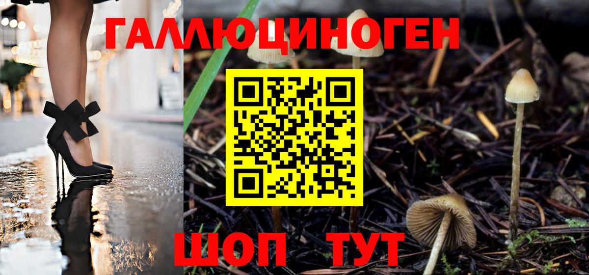 Псилоцибиновые грибы мухоморы Соль-Илецк