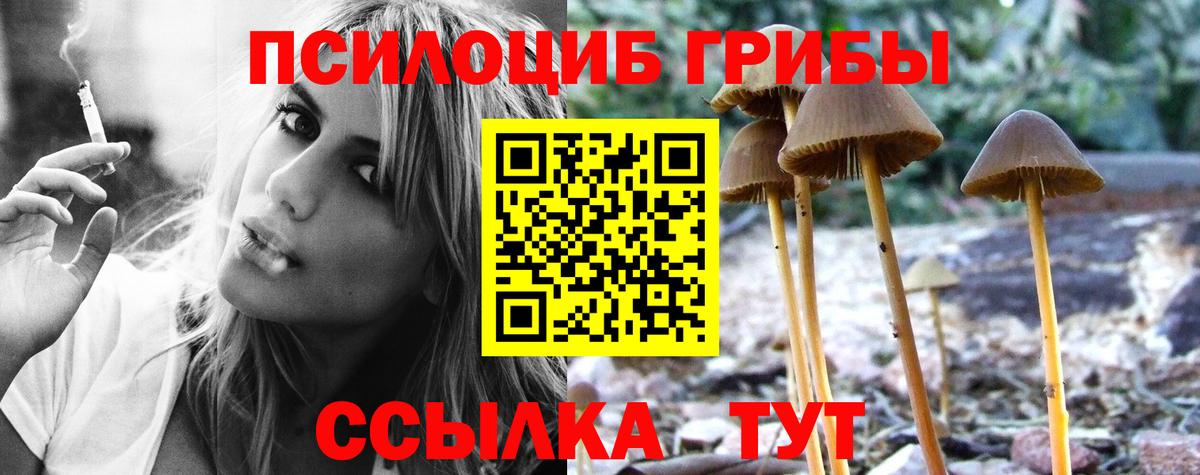 Соль-Илецк  Галлюциногенные грибы GOLDEN TEACHER  Вход с VPN  Псилоцибиновые грибы мицелий 